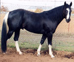 Hank at 3 years old. Click to view a larger image.