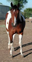 Mo at 3 years old. Click to view a larger image.