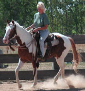 Photo at 2 years of age in training.