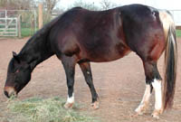 Meggie at 7 years of age (February 2003). Click to view a larger image.